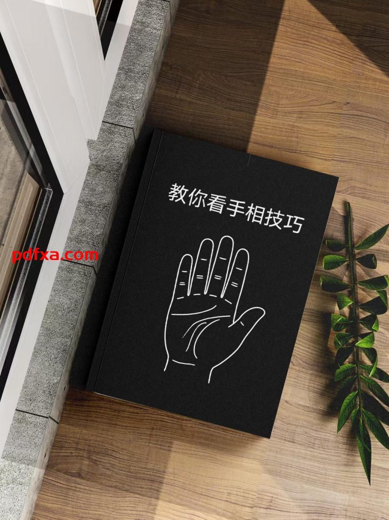 《陈哲毅教你看手相技巧》