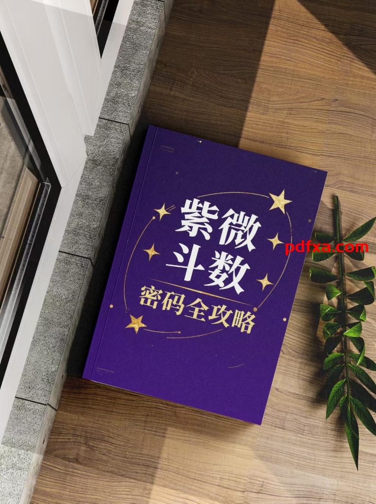 《紫微斗数密码全攻略》