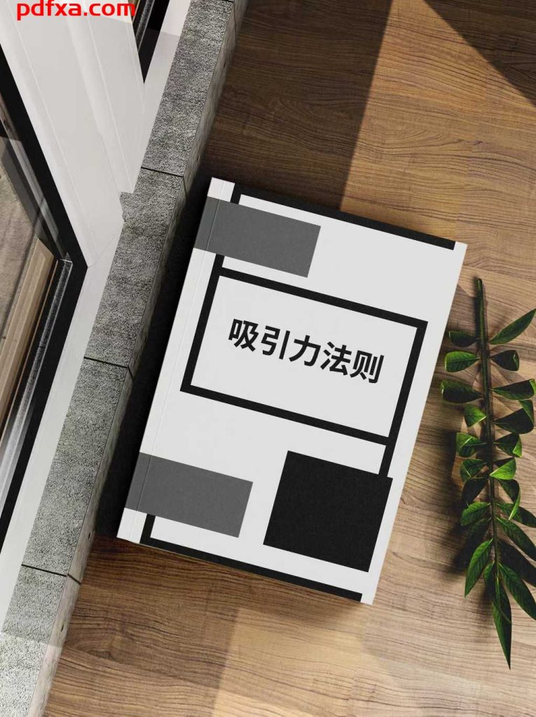 《吸引力法则》