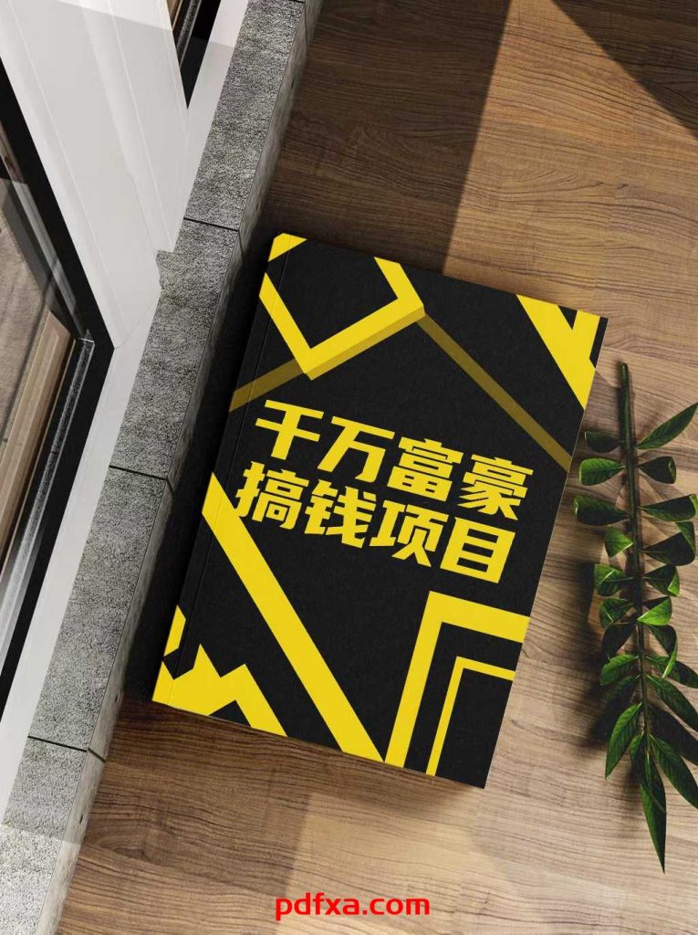 《千万富豪搞钱项目》